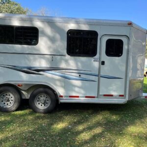 2012 adam 2 horse straight load trailer
